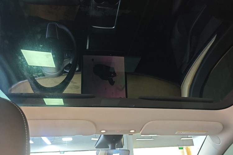 Used Tesla Model Y 2022 Rear-Wheel-Drive Version Headliner