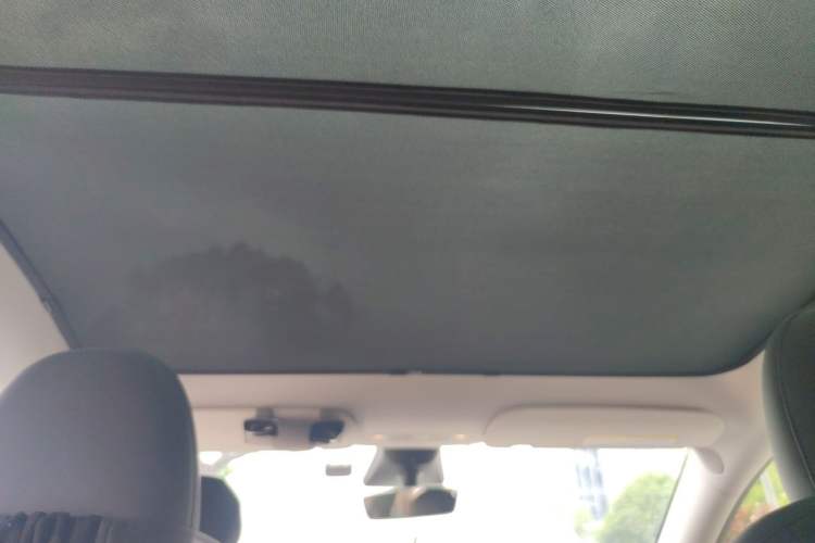 Used Tesla Model Y 2022 Long-Range All-Wheel-Drive Version Headliner
