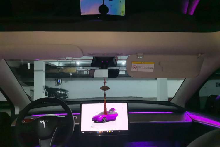 Used Tesla Model Y 2022 Performance High-Performance All-Wheel-Drive Version Headliner