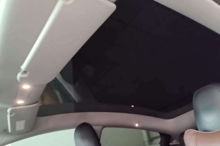 Used Tesla Model Y 2022 Long-Range All-Wheel-Drive Version Headliner