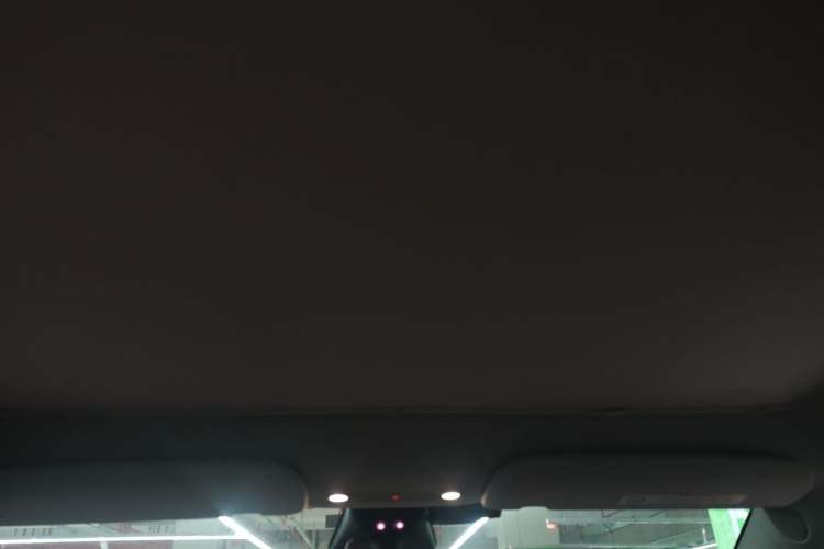 Used Tesla Model Y 2022 Revised Version Rear-Wheel Drive Headliner