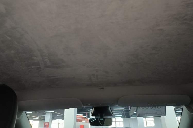 Used Tesla Model Y 2022 Long-Range All-Wheel-Drive Version Headliner