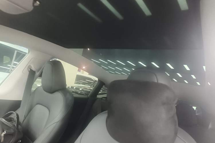Used Tesla Model Y 2022 Long-Range All-Wheel-Drive Version Headliner