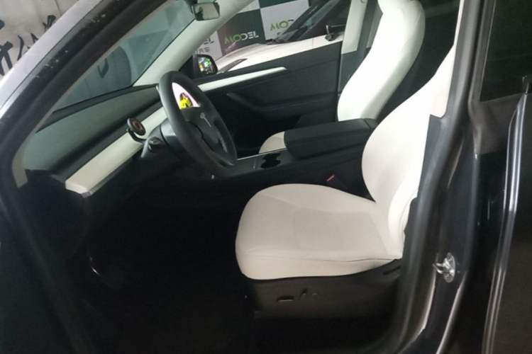 Used Tesla Model Y 2022 Rear-Wheel-Drive Version Left Front Seat