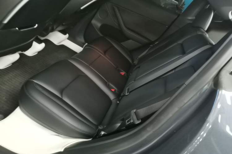 Used Tesla Model Y 2022 Performance High-Performance All-Wheel-Drive Version Left Rear Seat