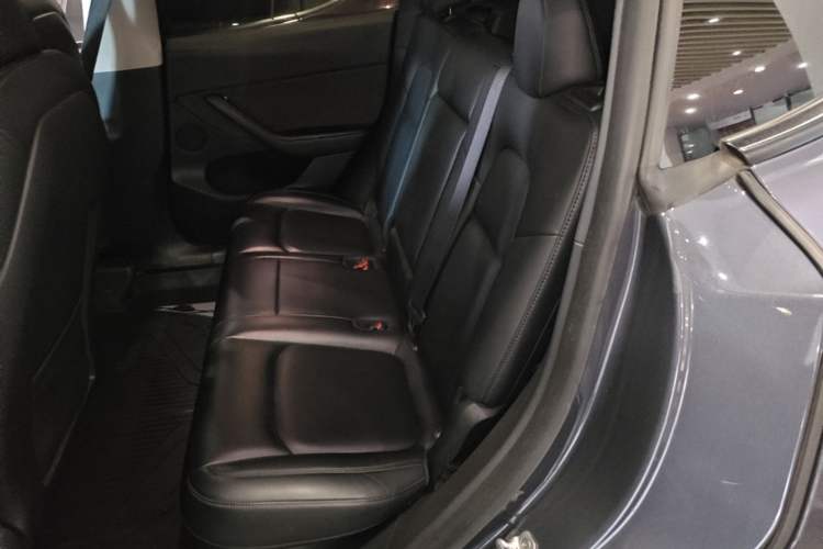 Used Tesla Model Y 2022 Rear-Wheel-Drive Version Left Rear Seat