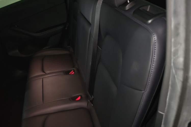 Used Tesla Model Y 2022 Rear-Wheel-Drive Version Left Rear Seat
