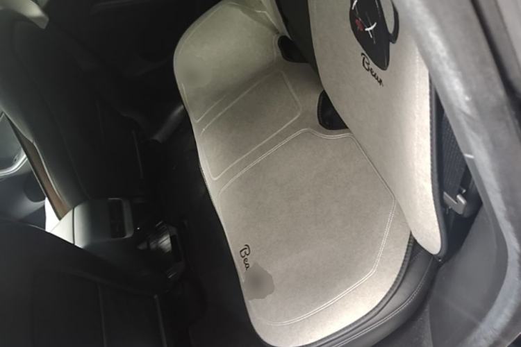 Used Tesla Model Y 2022 Rear-Wheel-Drive Version Left Rear Seat