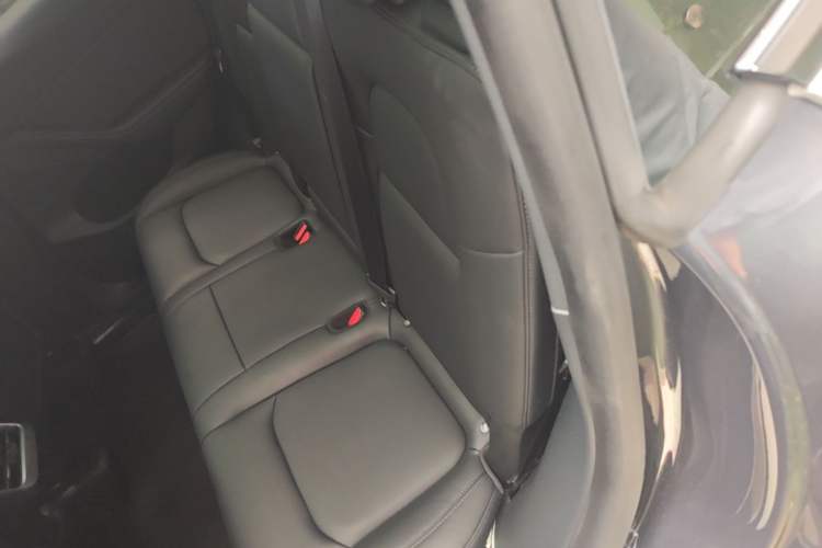 Used Tesla Model Y 2022 Rear-Wheel-Drive Version Left Rear Seat