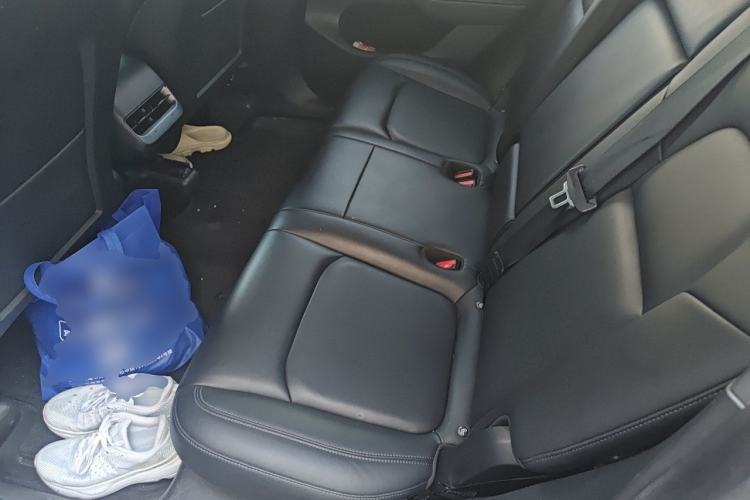 Used Tesla Model Y 2022 Rear-Wheel-Drive Version Left Rear Seat