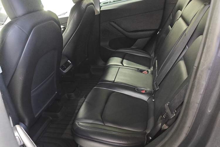Used Tesla Model Y 2022 Revised Version Rear-Wheel Drive Left Rear Seat