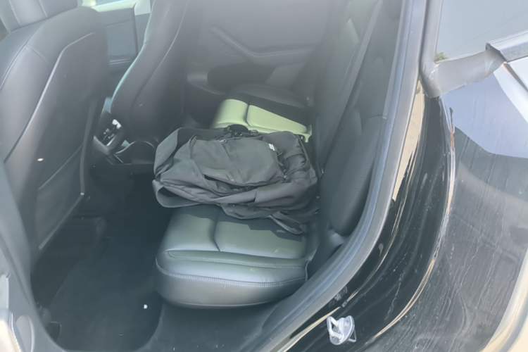 Used Tesla Model Y 2022 Long-Range All-Wheel-Drive Version Left Rear Seat