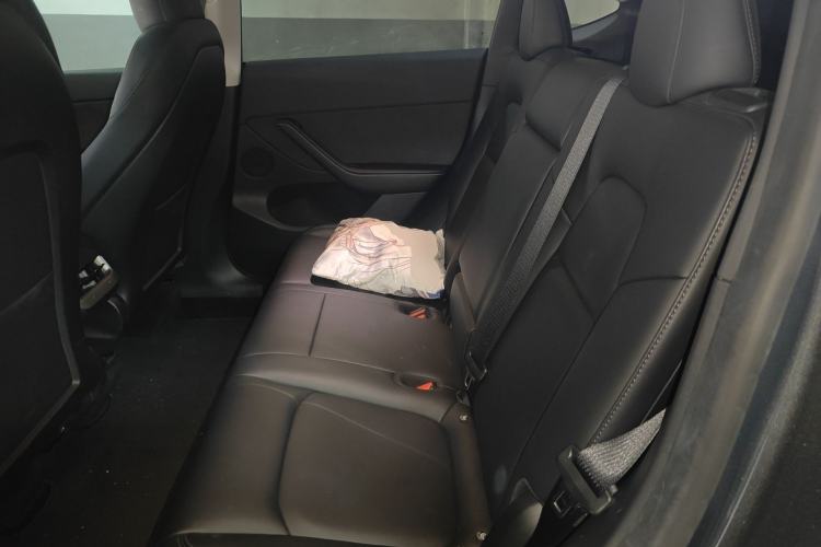 Used Tesla Model Y 2022 Rear-Wheel-Drive Version Left Rear Seat