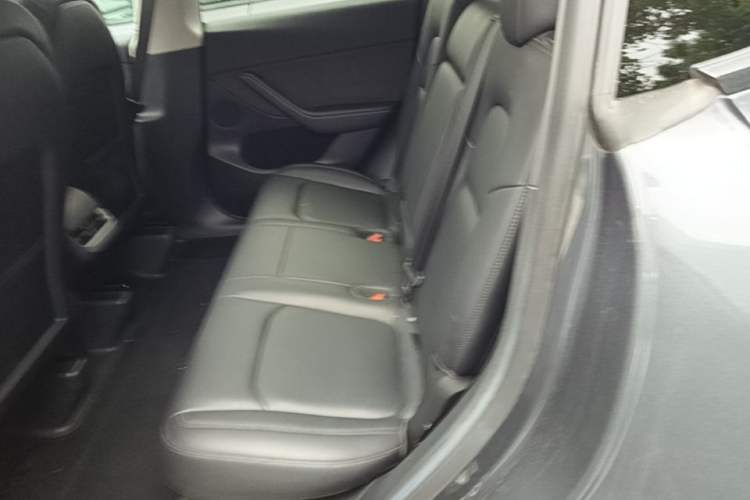 Used Tesla Model Y 2022 Rear-Wheel-Drive Version Left Rear Seat