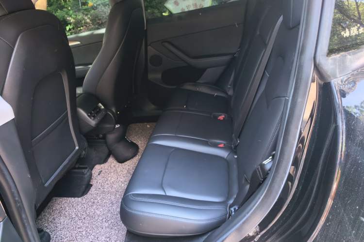 Used Tesla Model Y 2022 Rear-Wheel-Drive Version Left Rear Seat