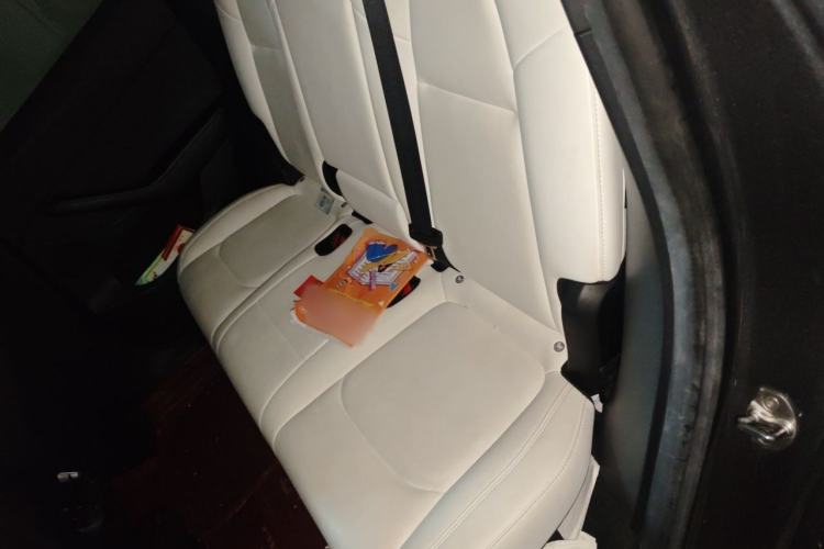 Used Tesla Model Y 2022 Revised Version Long-Range All-Wheel Drive Left Rear Seat