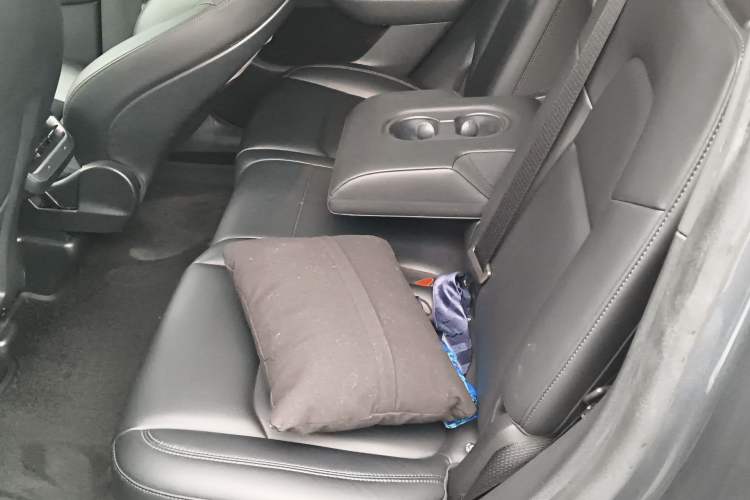 Used Tesla Model Y 2022 Performance High-Performance All-Wheel-Drive Version Left Rear Seat
