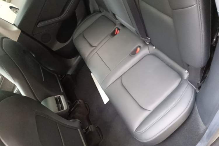 Used Tesla Model Y 2022 Rear-Wheel-Drive Version Left Rear Seat