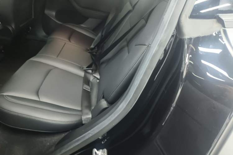 Used Tesla Model Y 2022 Long-Range All-Wheel-Drive Version Left Rear Seat