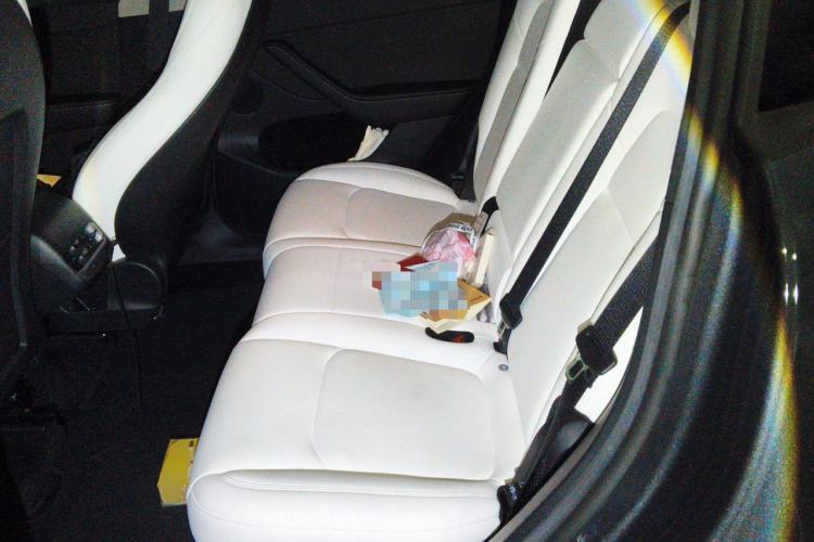Used Tesla Model Y 2022 Revised Version Rear-Wheel Drive Left Rear Seat