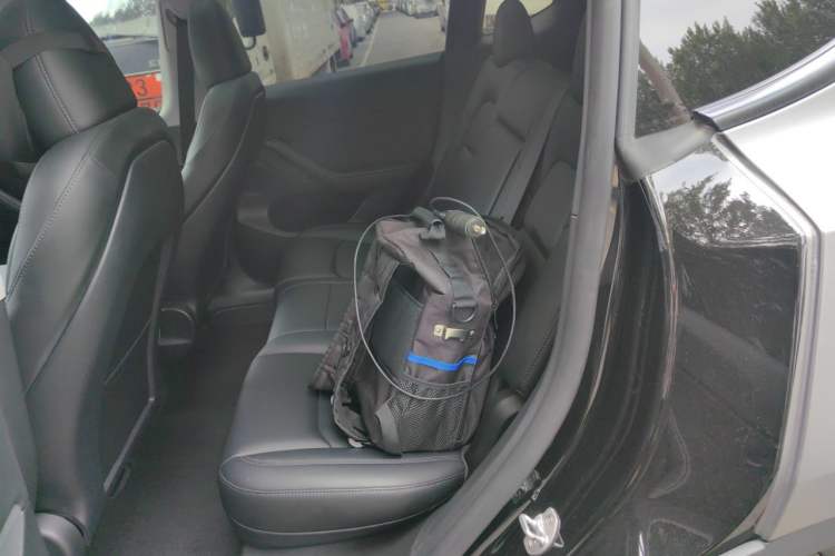 Used Tesla Model Y 2022 Revised Version Rear-Wheel Drive Left Rear Seat