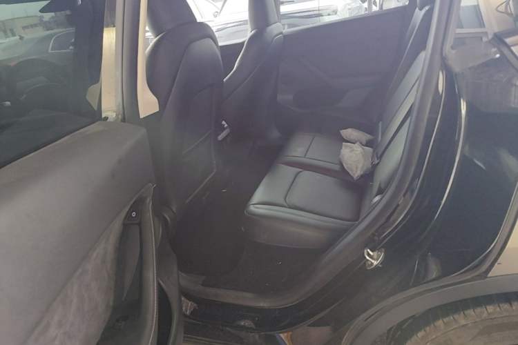 Used Tesla Model Y 2022 Rear-Wheel-Drive Version Left Rear Seat