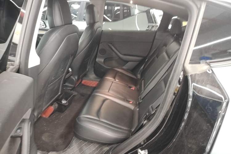 Used Tesla Model Y 2022 Long-Range All-Wheel-Drive Version Left Rear Seat