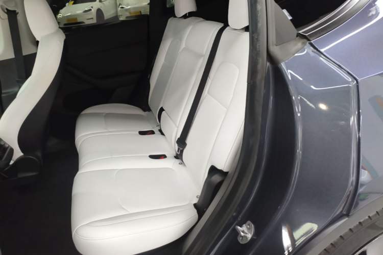 Used Tesla Model Y 2022 Performance High-Performance All-Wheel-Drive Version Left Rear Seat