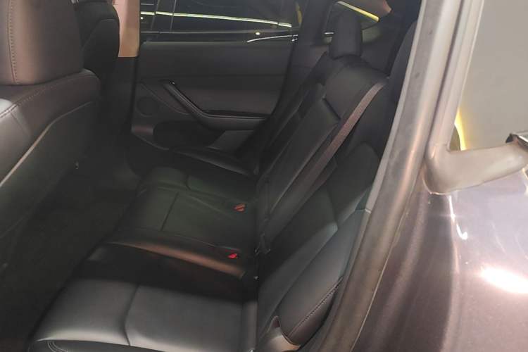 Used Tesla Model Y 2022 Revised Version Rear-Wheel Drive Left Rear Seat