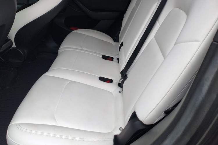 Used Tesla Model Y 2022 Rear-Wheel-Drive Version Left Rear Seat