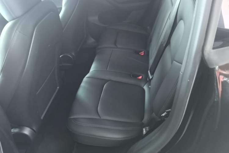 Used Tesla Model Y 2022 Revised Version Rear-Wheel Drive Left Rear Seat