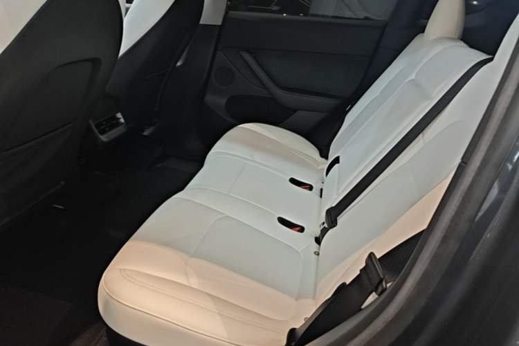 Used Tesla Model Y 2022 Revised Version Rear-Wheel Drive Left Rear Seat
