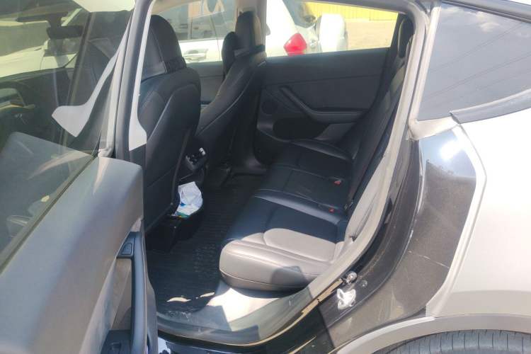 Used Tesla Model Y 2022 Long-Range All-Wheel-Drive Version Left Rear Seat