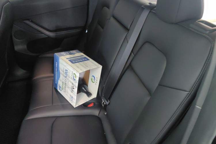 Used Tesla Model Y 2022 Revised Version Rear-Wheel Drive Left Rear Seat
