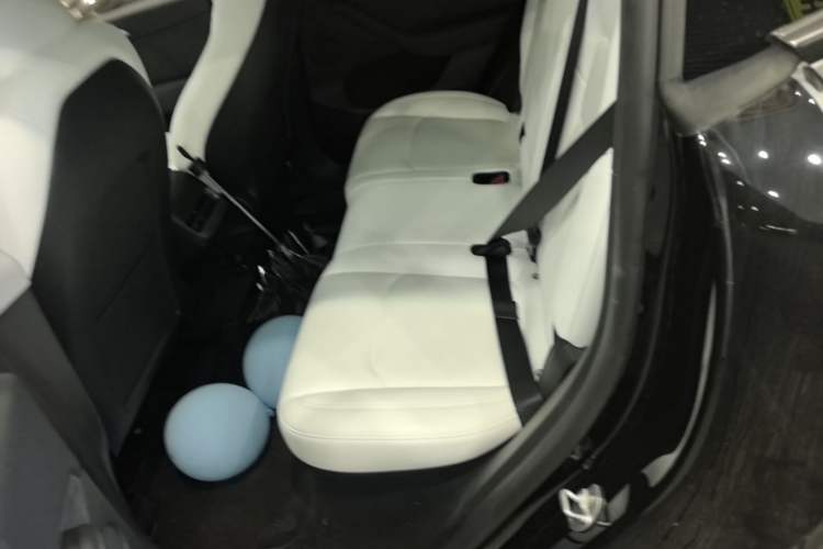 Used Tesla Model Y 2022 Revised Version Rear-Wheel Drive Left Rear Seat