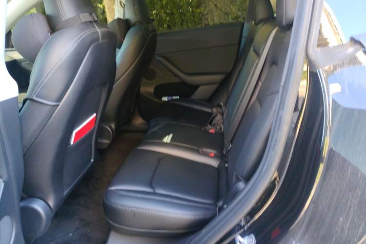 Used Tesla Model Y 2022 Revised Version Rear-Wheel Drive Left Rear Seat