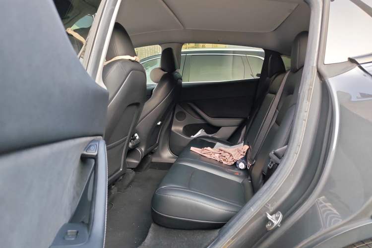 Used Tesla Model Y 2022 Long-Range All-Wheel-Drive Version Left Rear Seat