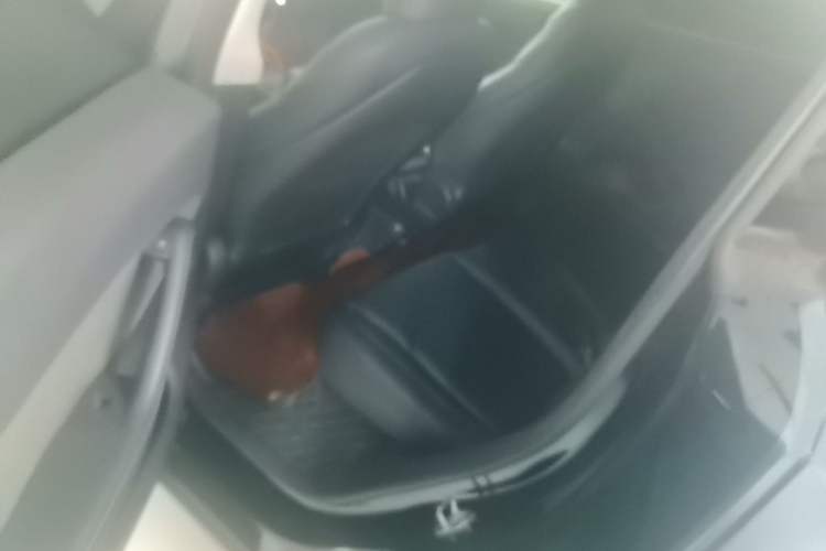 Used Tesla Model Y 2022 Revised Version Rear-Wheel Drive Left Rear Seat
