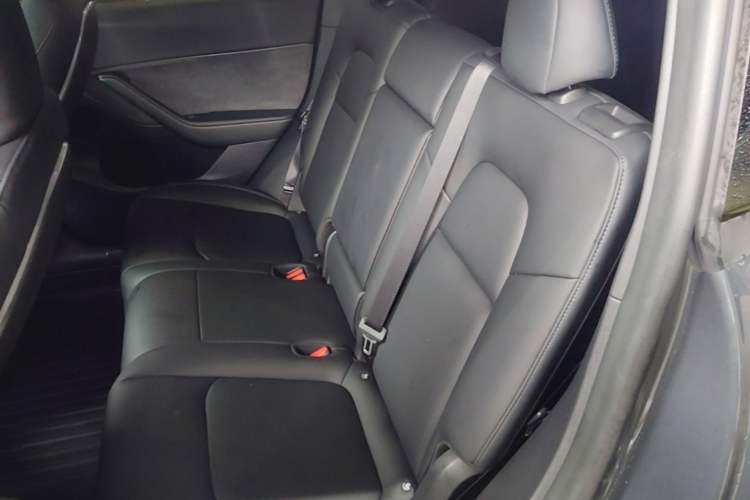 Used Tesla Model Y 2022 Revised Version Rear-Wheel Drive Left Rear Seat