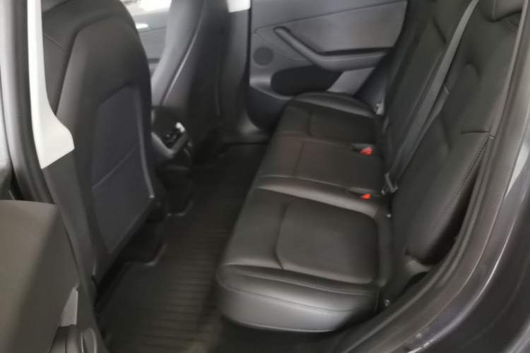 Used Tesla Model Y 2022 Rear-Wheel-Drive Version Left Rear Seat