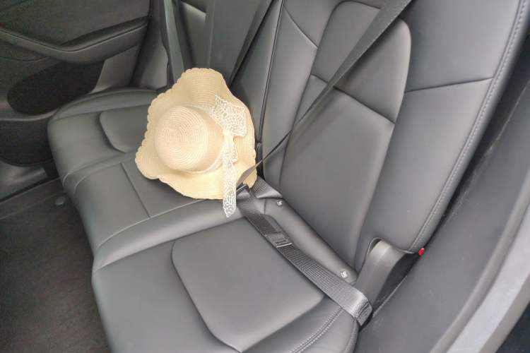 Used Tesla Model Y 2022 Long-Range All-Wheel-Drive Version Left Rear Seat