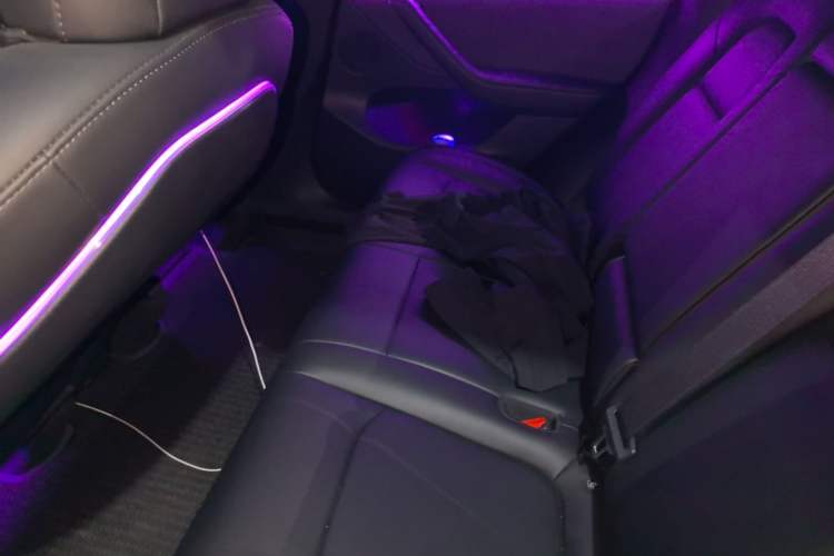 Used Tesla Model Y 2022 Performance High-Performance All-Wheel-Drive Version Left Rear Seat