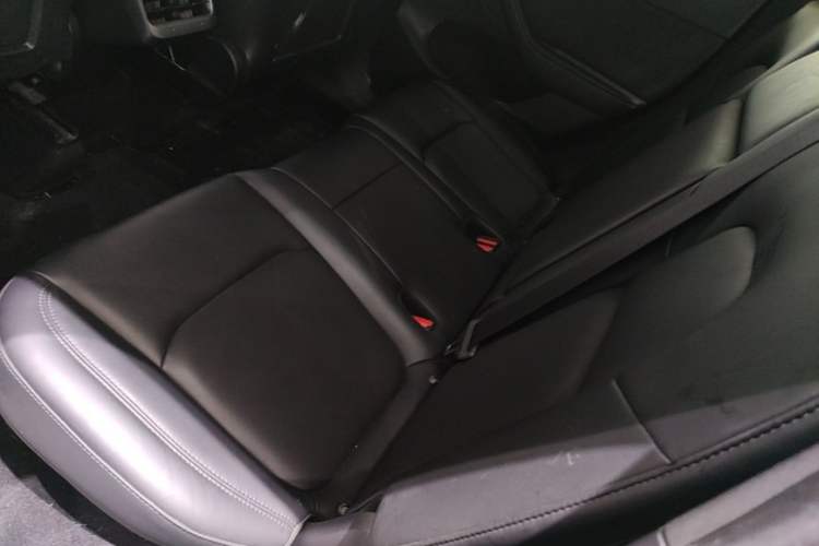 Used Tesla Model Y 2022 Revised Version Rear-Wheel Drive Left Rear Seat