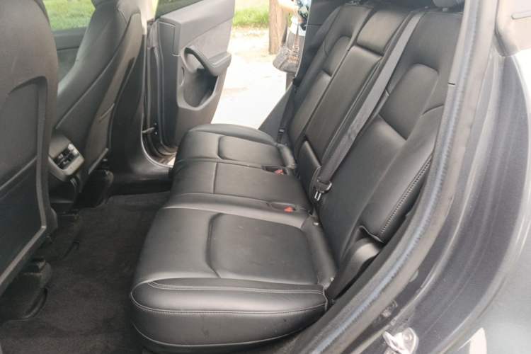 Used Tesla Model Y 2022 Revised Version Rear-Wheel Drive Left Rear Seat