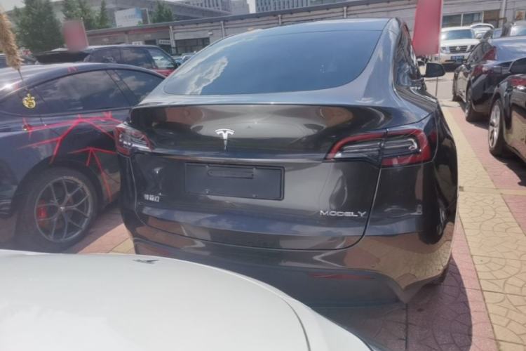 Used Tesla Model Y 2022 Rear-Wheel-Drive Version Rear