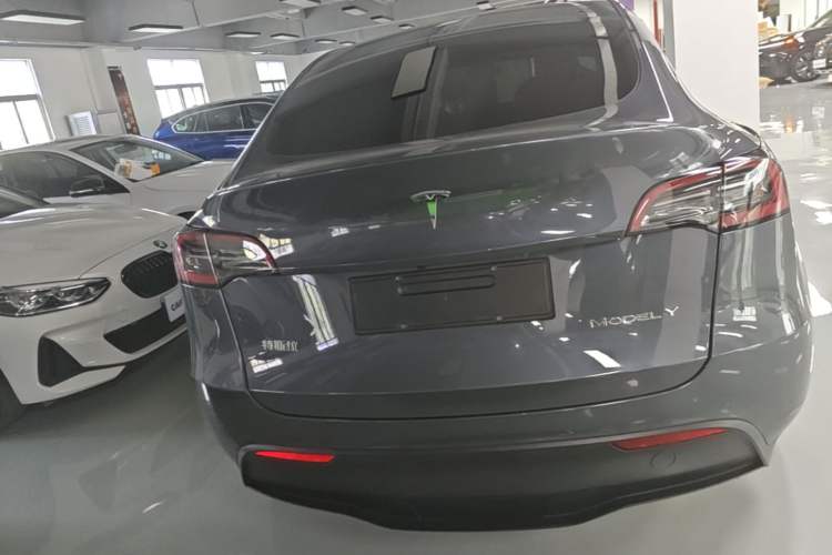 Used Tesla Model Y 2022 Rear-Wheel-Drive Version Rear