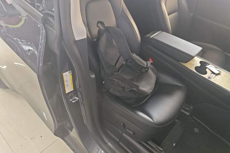 Used Tesla Model Y 2022 Rear-Wheel-Drive Version Right Front Seat