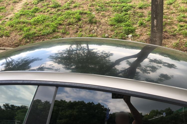 Used Tesla Model Y 2022 Rear-Wheel-Drive Version Roof