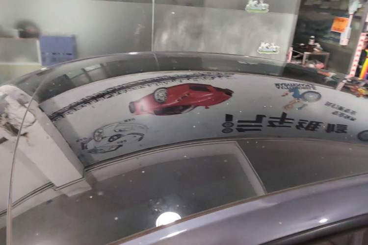 Used Tesla Model Y 2022 Rear-Wheel-Drive Version Roof