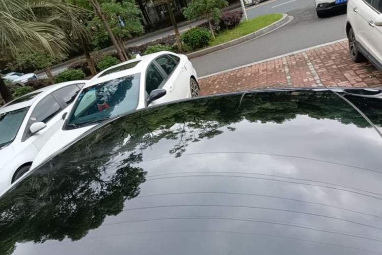 Used Tesla Model Y 2022 Rear-Wheel-Drive Version Roof